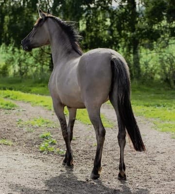 Bild 1 av placeholder text