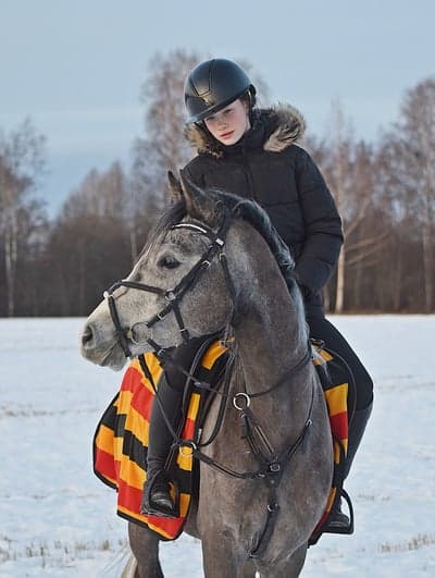 Inlägg 51 av Allround med titeln Snögalopo