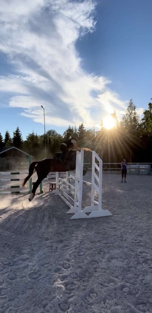 Bild 1 av Thumbelina