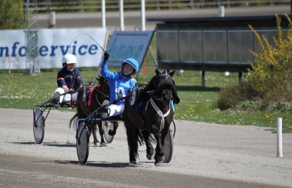 Bild 1 av placeholder text