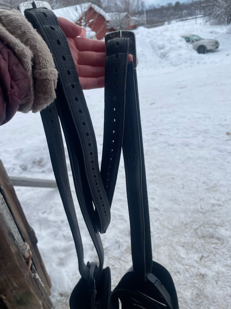 Bild 1 av Svarta stigläder 