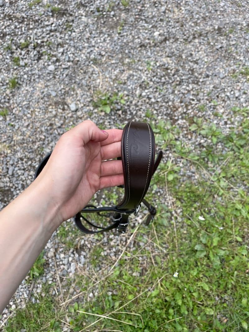 Bild 2 av Dyon träns