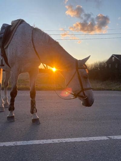 Inlägg 102 av Allround