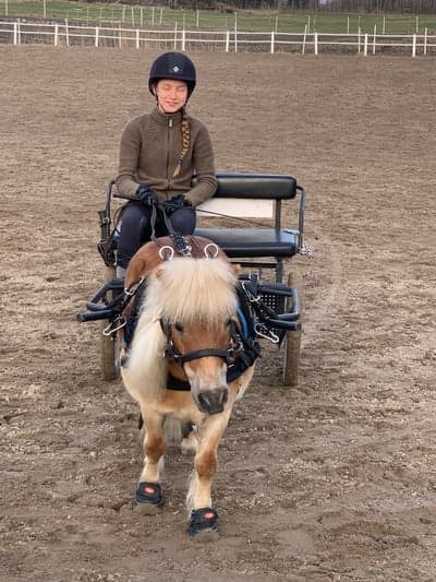 Inlägg 14 av Sportkörning