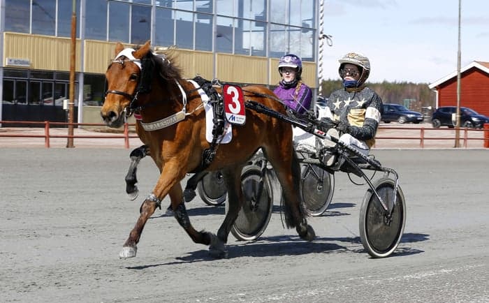 Media 4 av Min lilla Aleshia