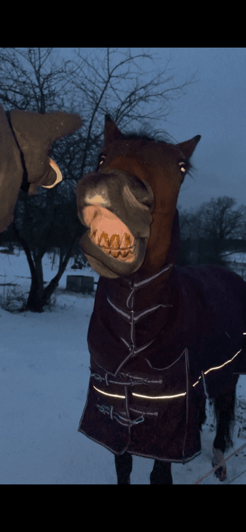 Media 3 av Portemonnaie (Penny)