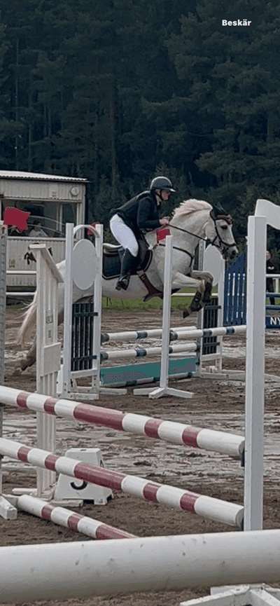 Inlägg 12 av Svensk Ridponny med titeln Tävling