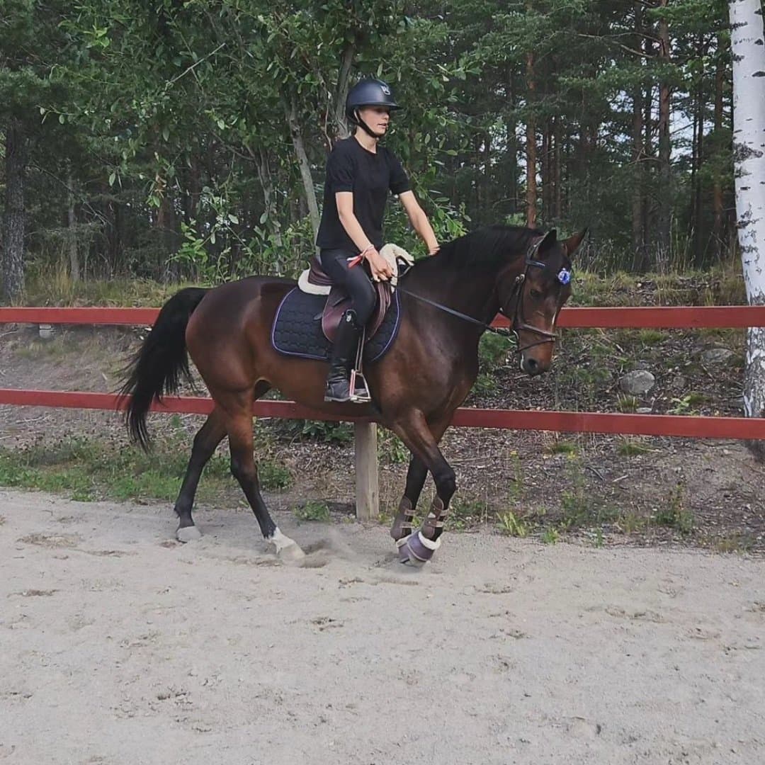 Bild 1 av Tequila Sunrise