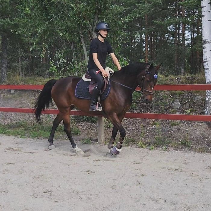 Media 1 av Tequila Sunrise