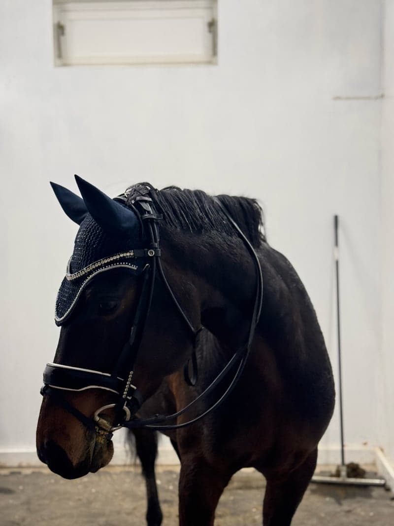 Bild 3 av Top dance with me