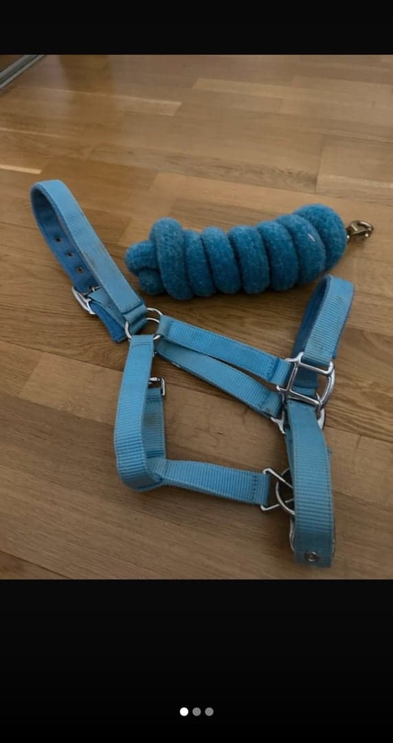 Media 1 av Blått grimma och grimskaft