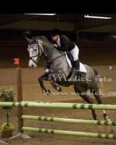 Inlägg 47 av Allround med titeln Esperi