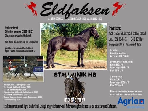 Bild av Avelshingst