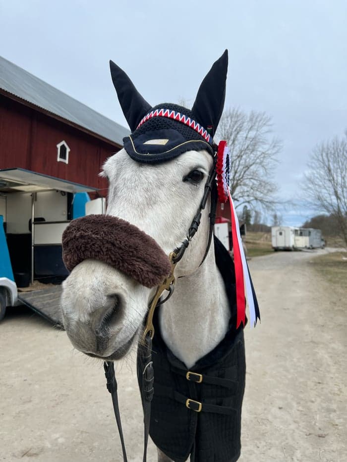 Media 1 av Riverwood Rose