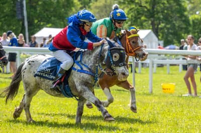 Ponnygalopp 