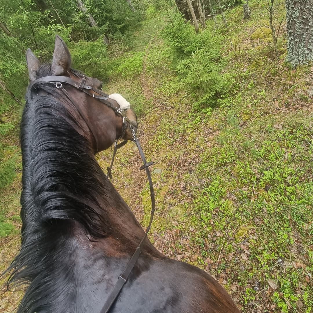 Bild 1 av Essie