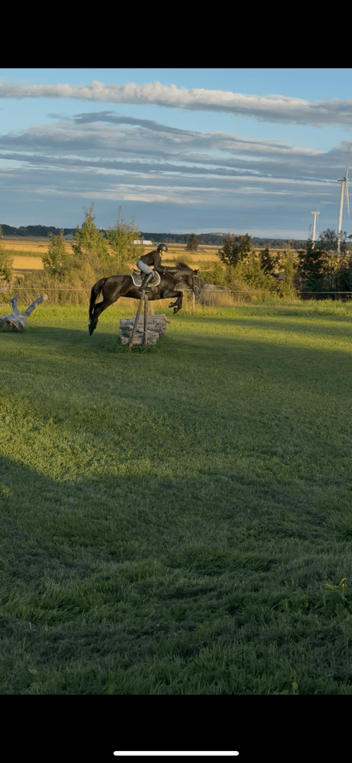 Bild 3 av Springfield Princess