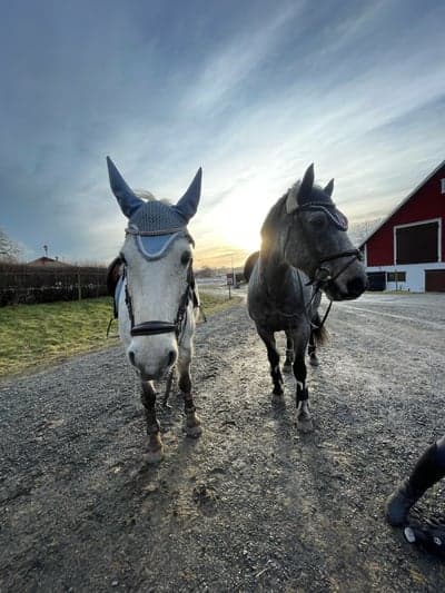 Inlägg 148 av Allround