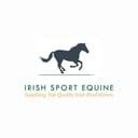 Irish Sport Equine