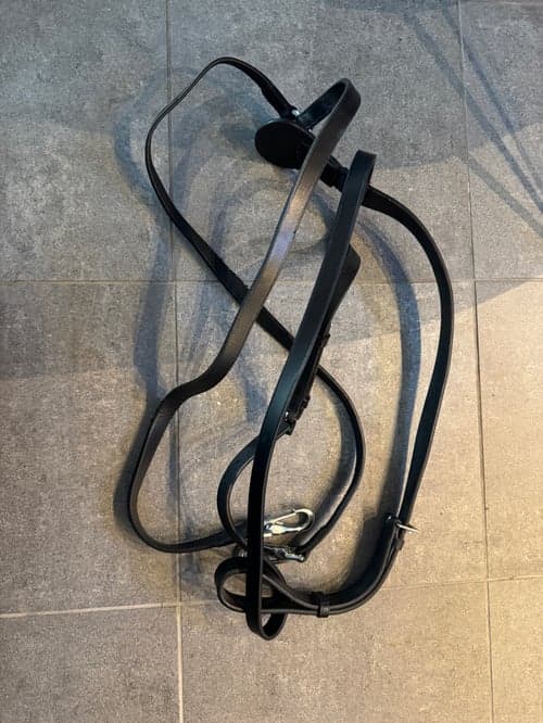 Bild av Svart Martingall ponny