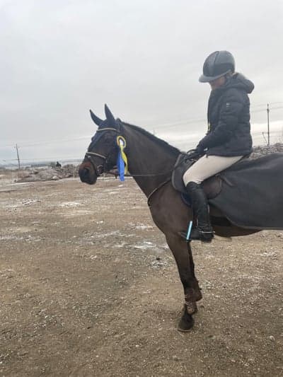 Inlägg 223 av Hoppning med titeln Missans första tävling i livet 