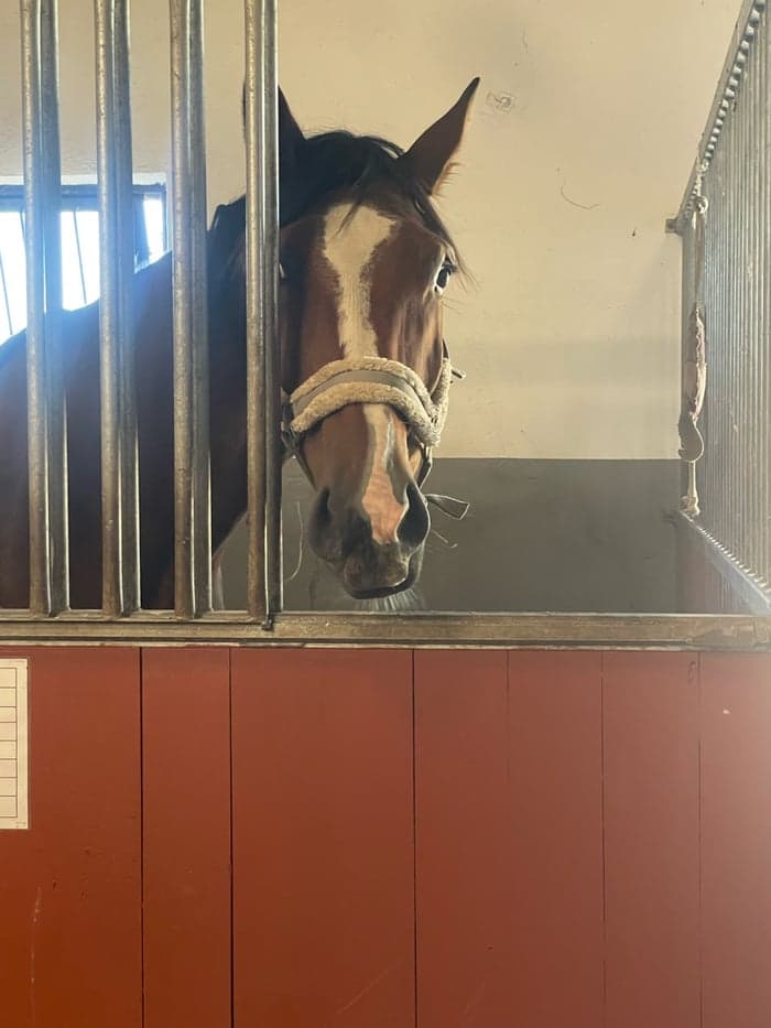 Media 1 of LN Herkules