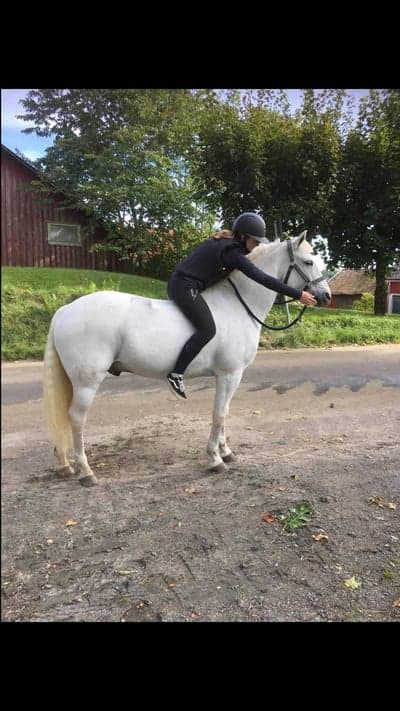 Inlägg 32 av Allround