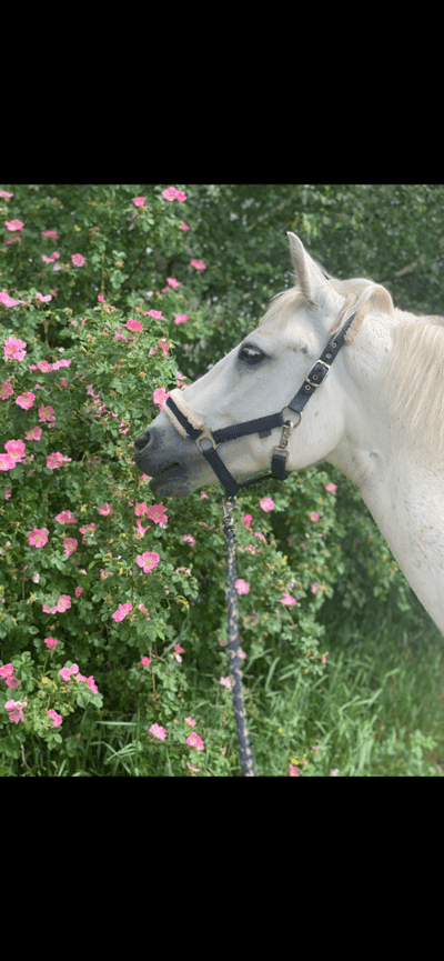 Inlägg 142 av Allround