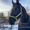 Profile picture of Rita