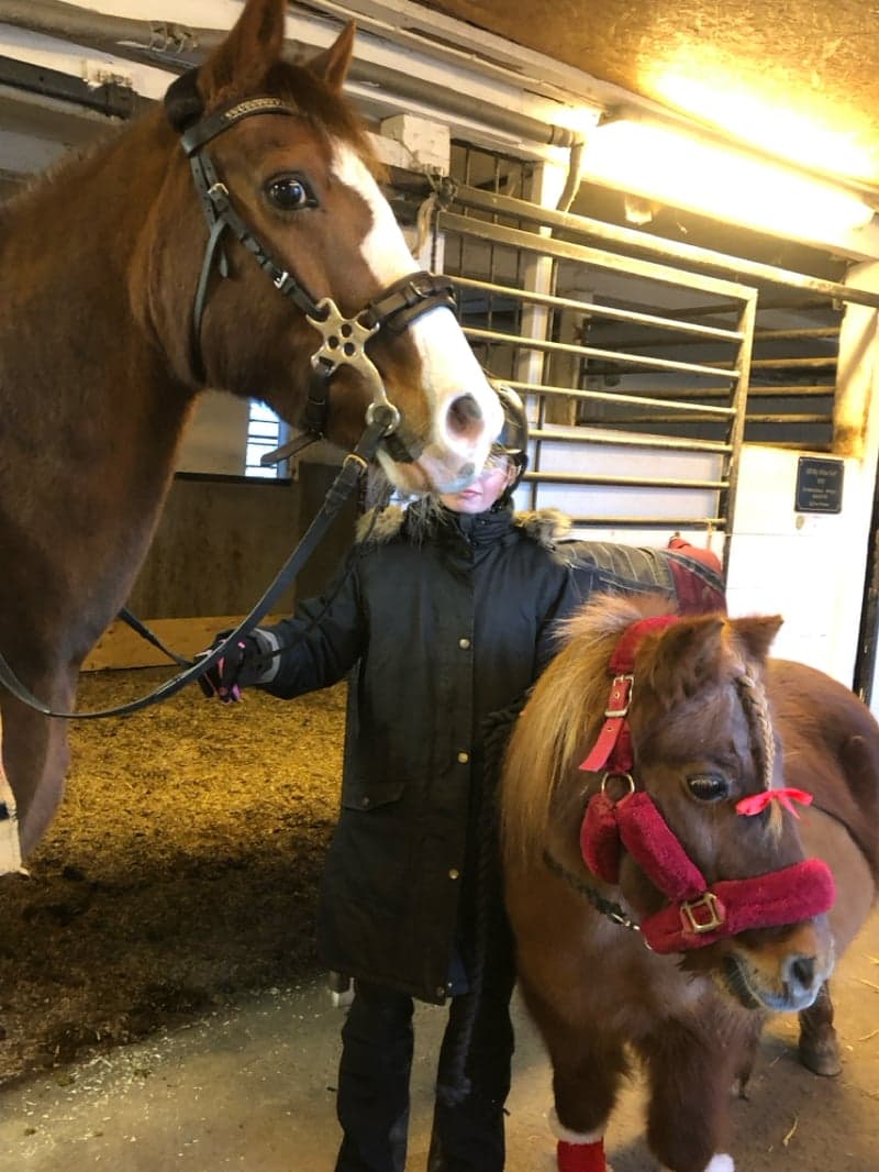 Image 2 of Dalsgårds Ideal