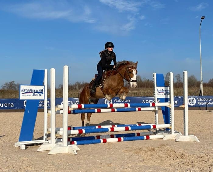 Media 1 av Sturevallens M