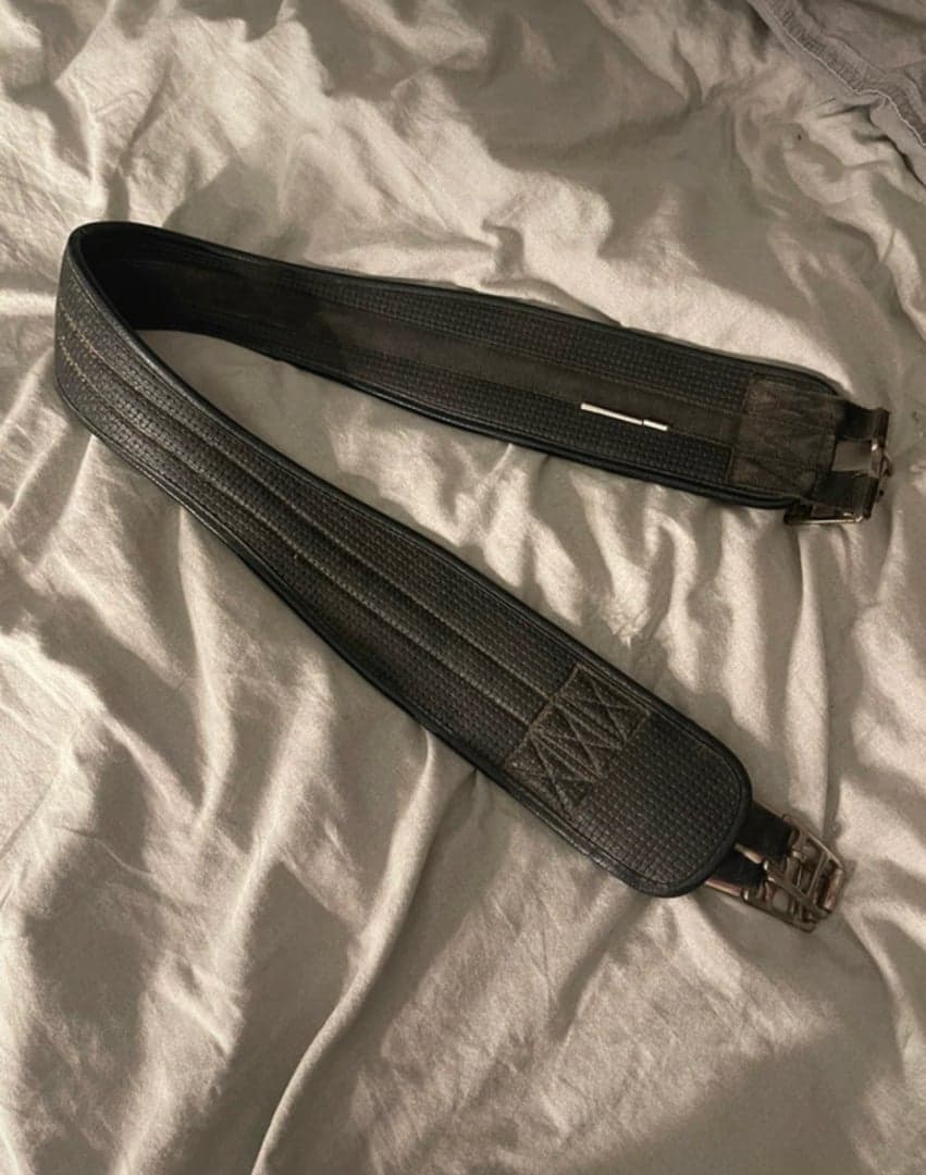 Bild 1 av Svart sadelgjord