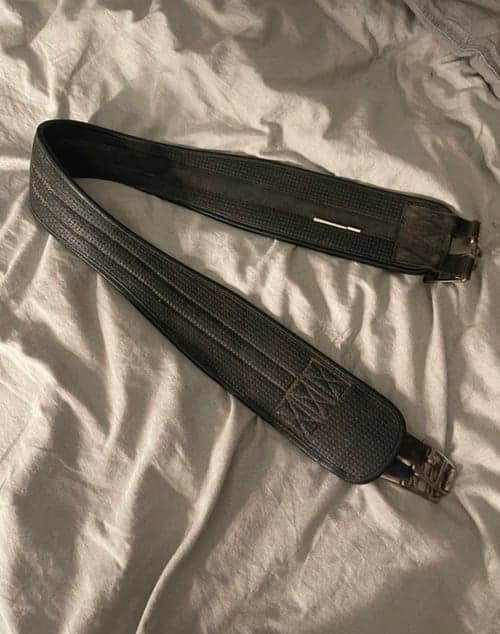 Bild av Svart sadelgjord