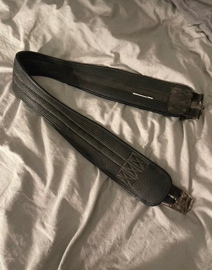 Media 1 av Svart sadelgjord