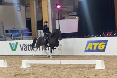 Inlägg 49 av Island med titeln Jönköping Horse Show