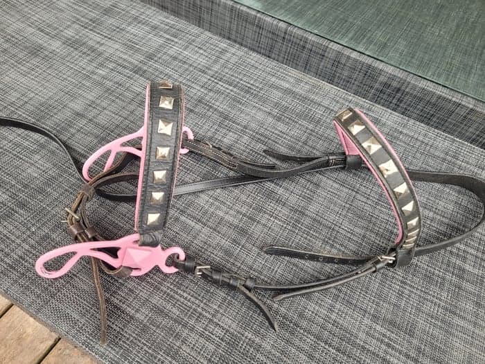 Media 3 av Pink and black hackamore with studs