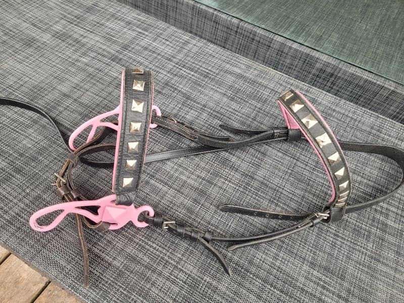 Image 3 of Pink and black hackamore with studs