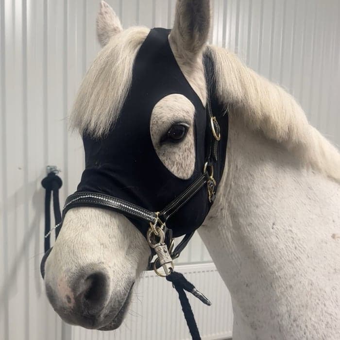 Media 1 av royal george