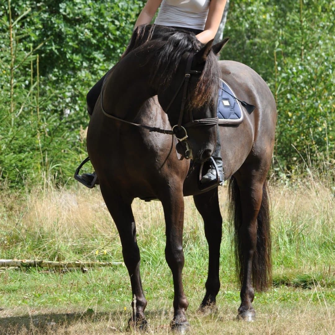 Bild 1 av placeholder text