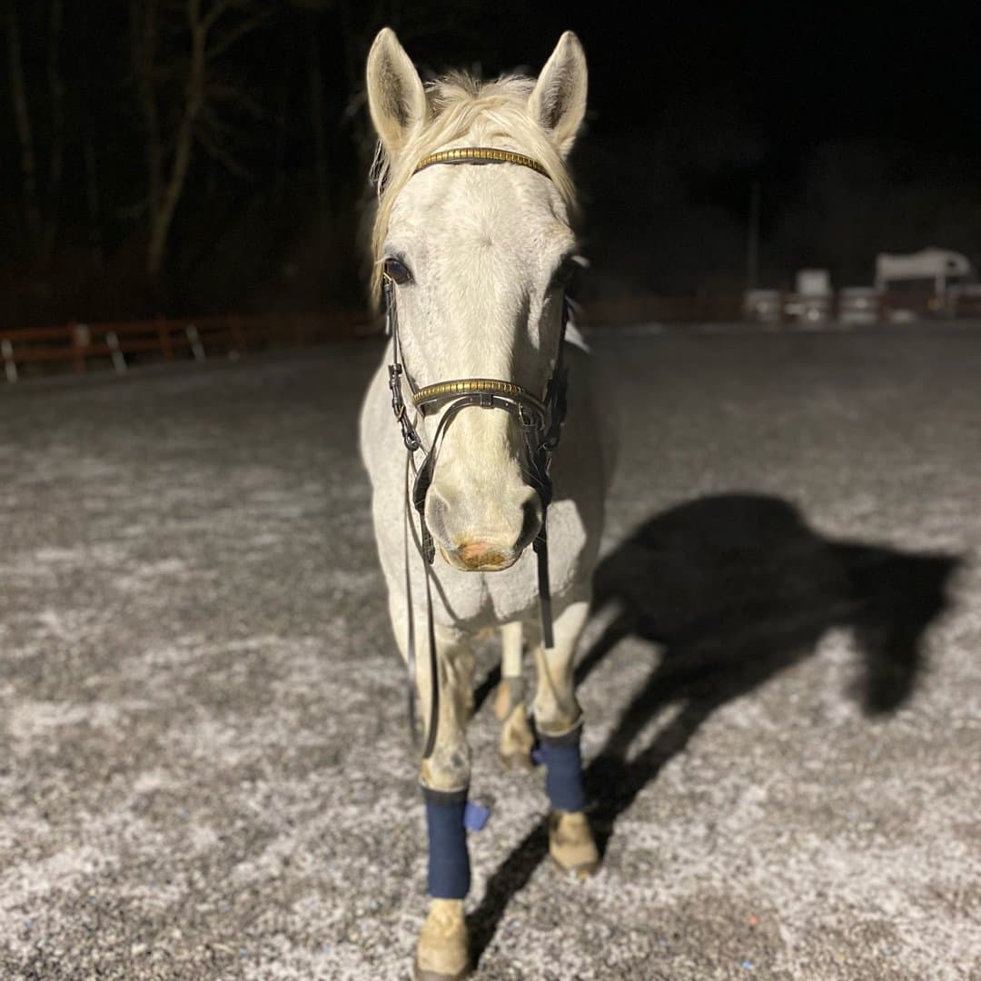 Image 1 of Munsboro Jet Set