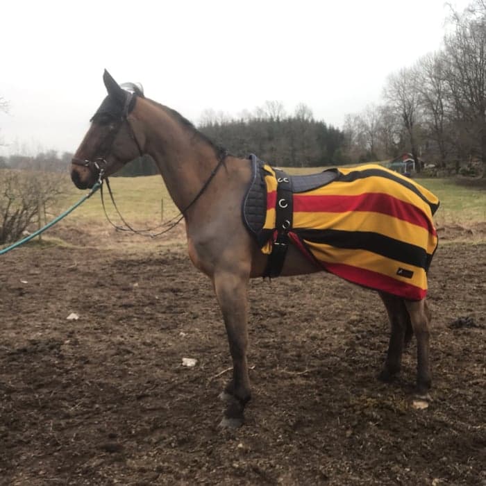 Media 1 av Incroyable W.F ( Indy)