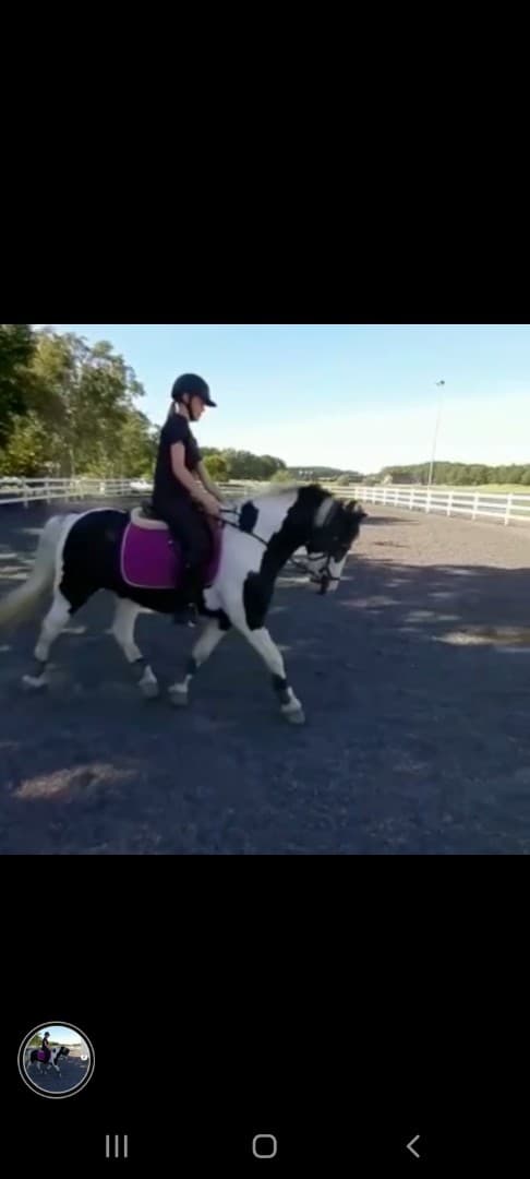 Media 1 av Knockmeal apache