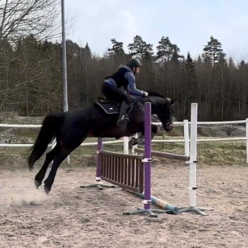 Profilbild av Aliex Juk