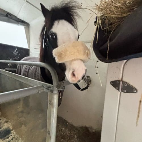 Profilbild av Troj Larsson