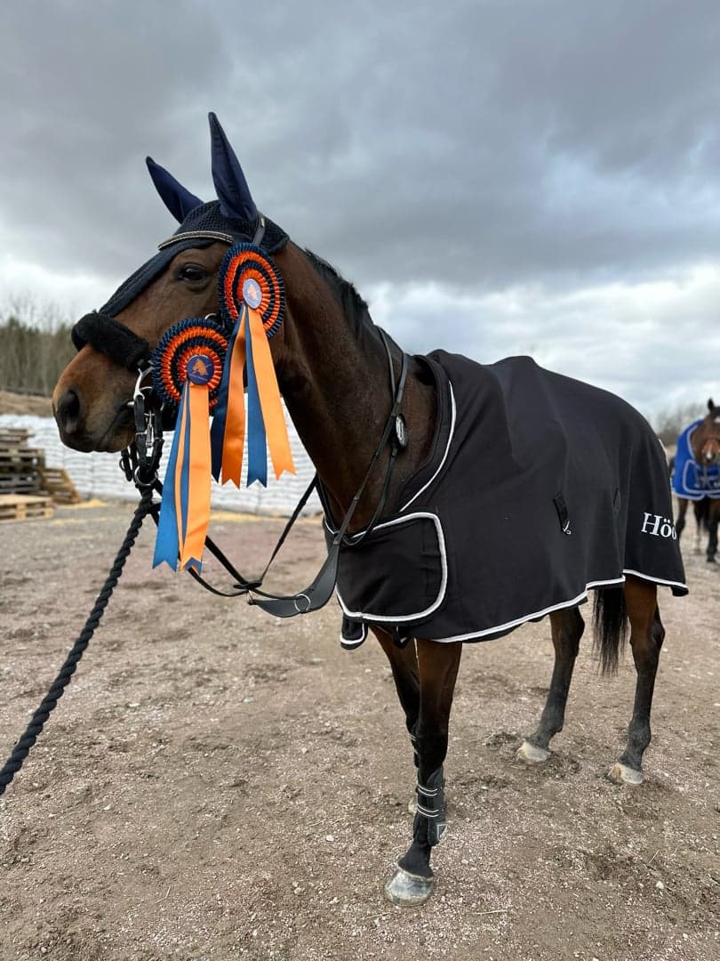 Bild 1 av Majestic Lady