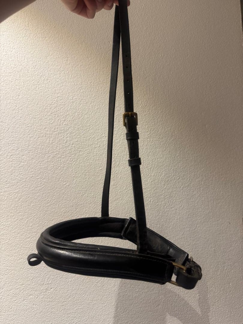 Bild 1 av Svart ponnynosgrimma