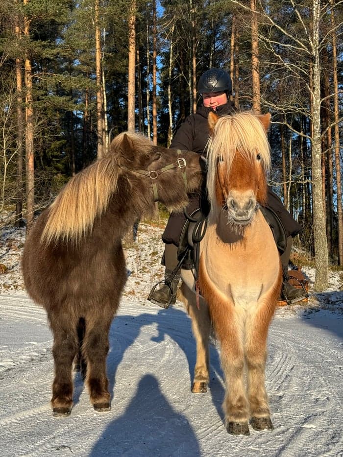 Media 4 of Kongur från Norrbacken