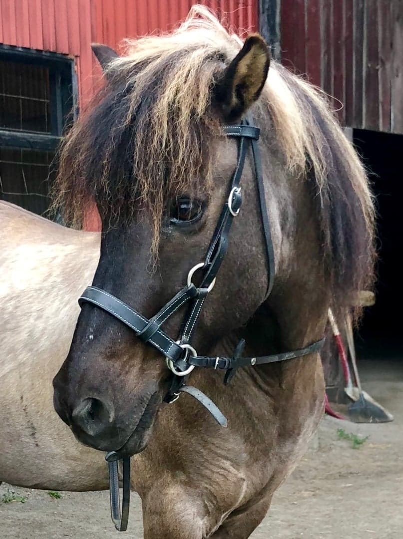 Bild 1 av Hrammur från Kävsta