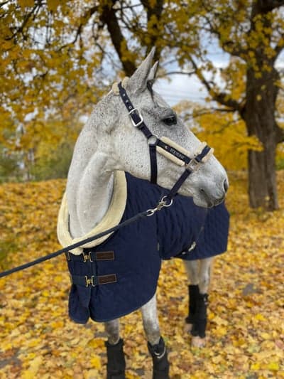 Inlägg 94 av Allround