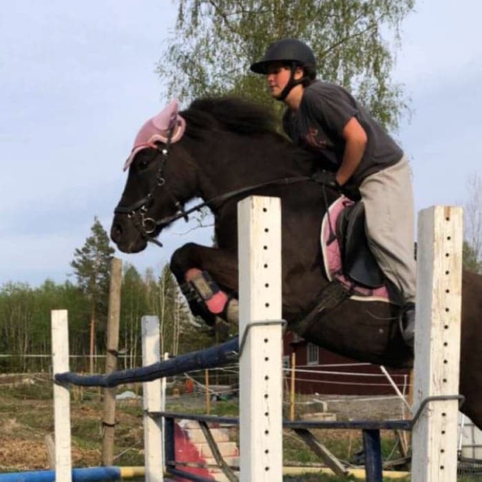 Media 1 av Dis från miklagård